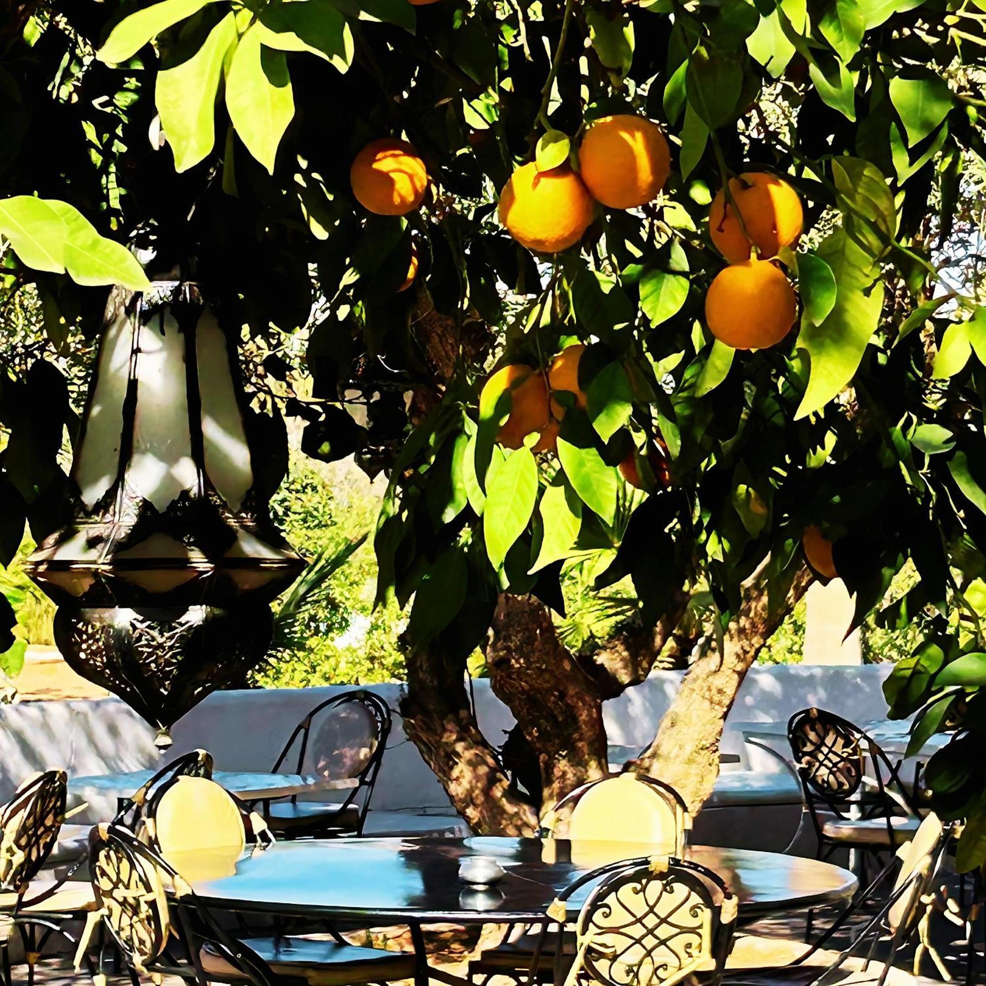 Les Jardins D'issil El Aggada